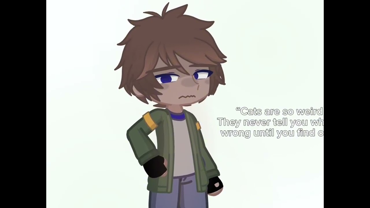 “Cats are so weird” ||Voltron|| -Lance Angst- {Langst}
