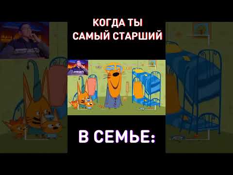 Самый старший RYTP Три Кота