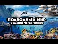 Подводный мир. Общение через гипноз.