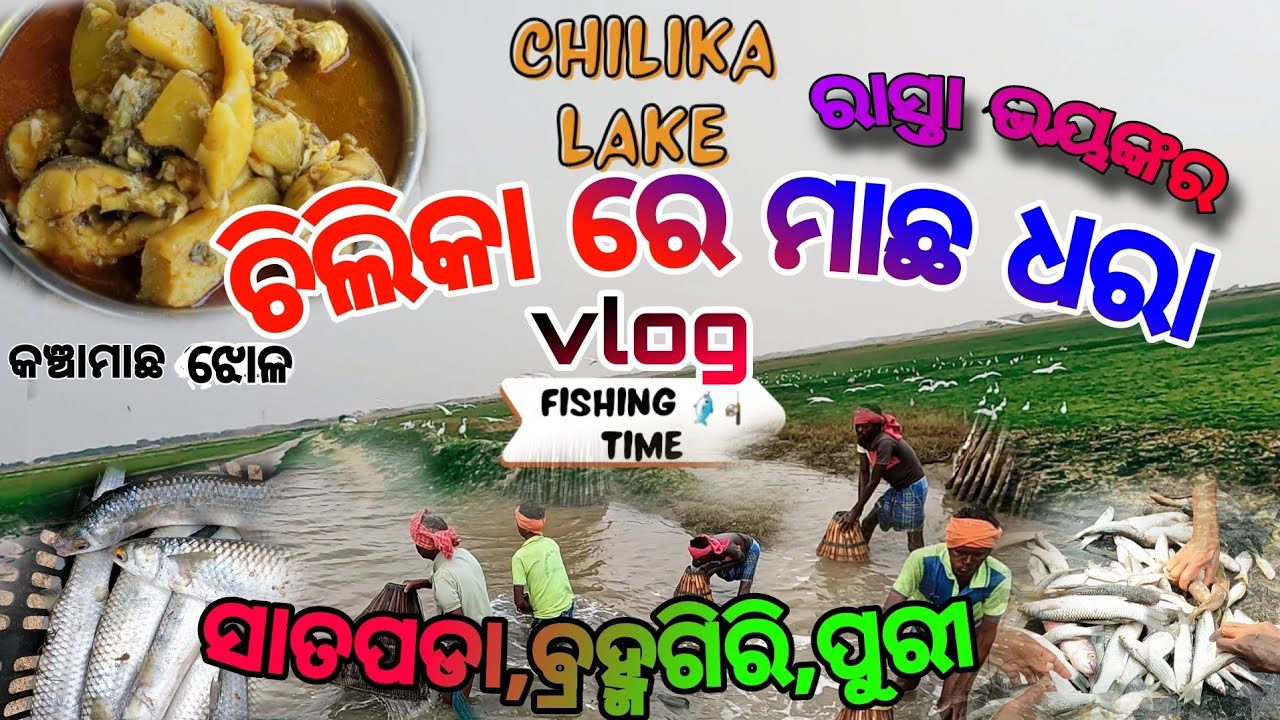 ଚିଲିକାରୁ ମାଛଧରିଲୁ , କଞ୍ଚାମାଛ ରୋଷେଇ କଲୁ । ବିପଦପୂର୍ଣ୍ଣ ରାସ୍ତାରେ ଗାଡି ଚଲେଇଲୁ। @Mr.puritoka-vlg