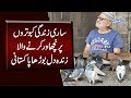 This man is known as kabootar baaz from last 63 years  pigeon man