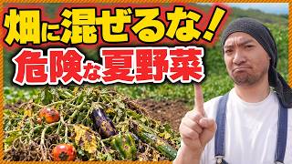 【絶対NG】その夏野菜の片付け方、次の野菜がダメになります！
