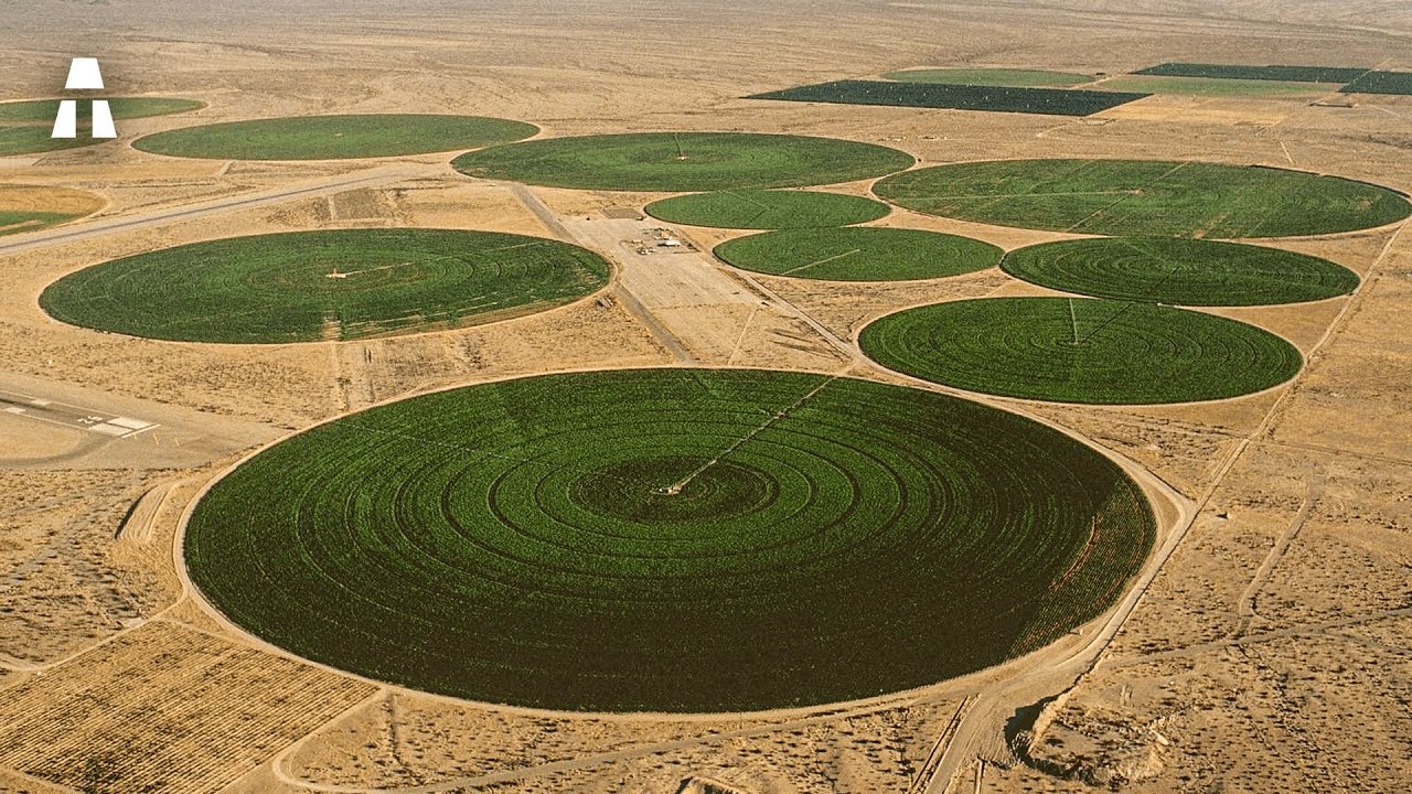 Pourquoi l'Agriculture Intensive est une Grosse Erreur