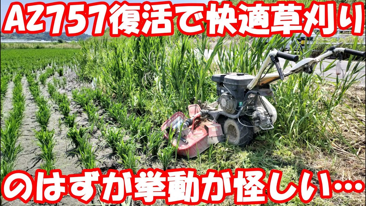 6年間酷使し続けたウイングモア。ミッションの挙動がおかしくなり始める…。