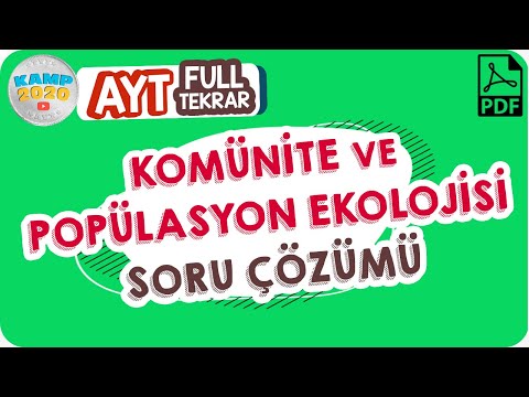 Komünite ve Popülasyon Ekolojisi Soru Çözümü | AYT Full Tekrar Kampı 2020