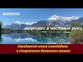 Ожидается эпоха клондайков  № 1990