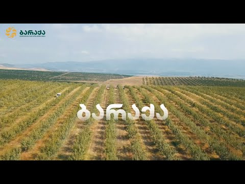 აჭარა ჯგუფის ნუშის ბაღები