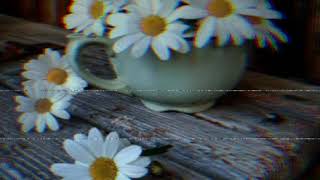 At Kollarinı Sar Beni Amatör Ses