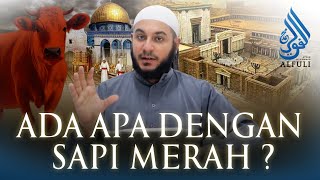 Sapi Merah Disiapkan! Menuju Akhir Zaman Messiah Yahudi Dajjal vs Al Mahdi?! - Syekh Muhammad Alfuli