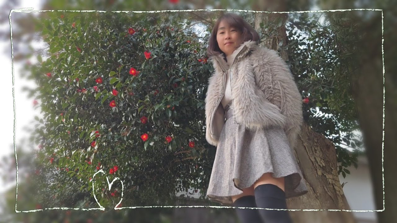 冬の鮮やかな花たち