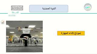القوة العضلية - القدرة العضلية  - تربية بدنية  - سادس ابتدائي فكري 6