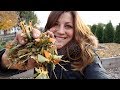 Using Leaves to Make Homemade Mulch! 🍂🍁👩‍🌾// Garden Answer