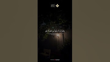 وَضَاقَتْ عَلَيْهِمْ أَنفُسُهُمْ | الآية 118 من سورة التوبة |  #المنشاوي #قرآن_كريم