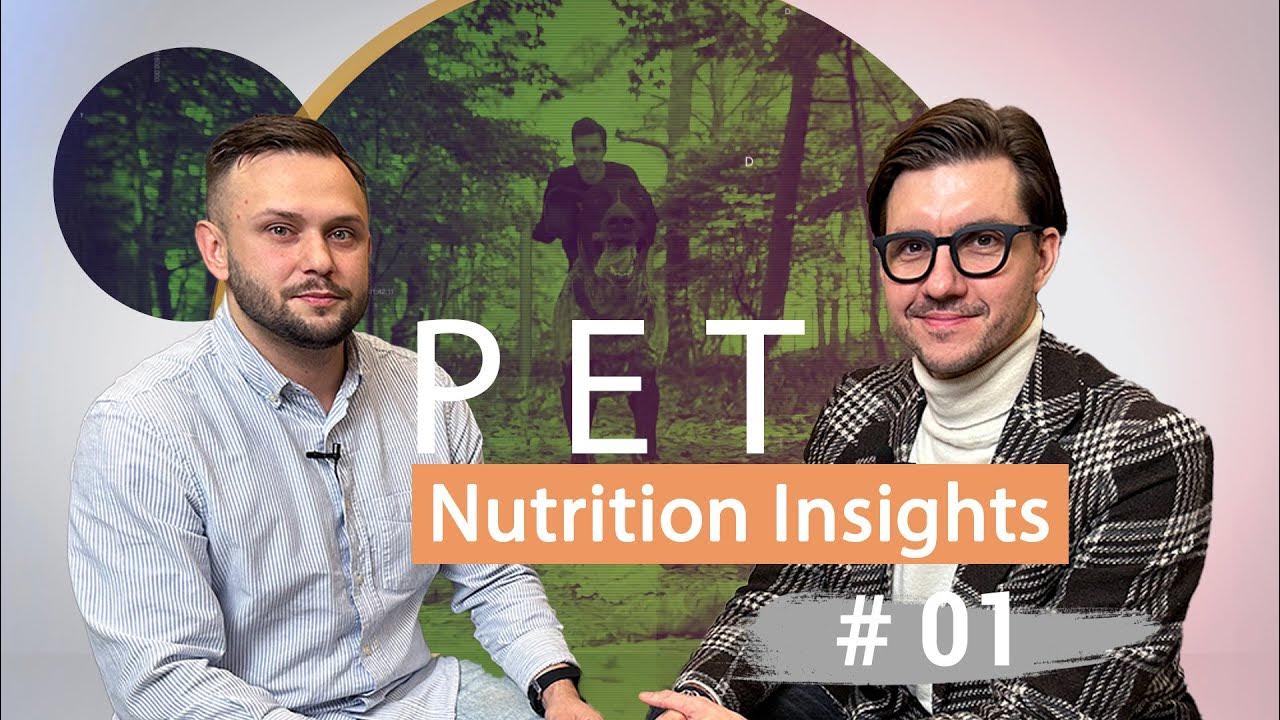 Should reported speech. Выбор автомобиля. Самозанятые женщины. Looking back. Аннушка ормели молева летсплей.