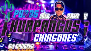 Huapangos Chingones  Mix  2019  Vol.2  DJ CANDELA