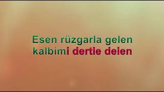 Zeki̇ Müren Acilara Gücendi̇m Karoeke