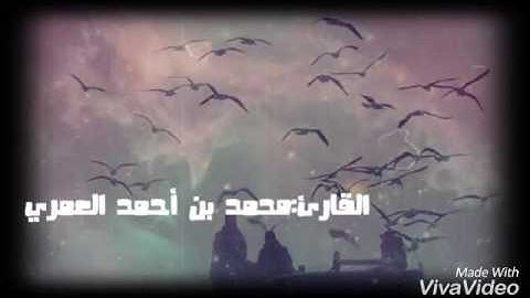 تلاوة من سورة النبأ محمد العمري