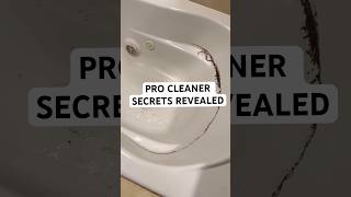 Pro Cleaners Secrets Revealed