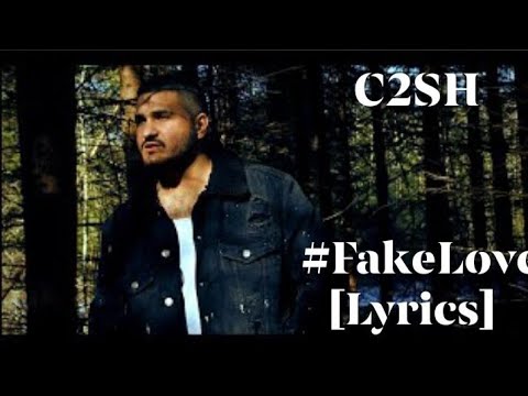 C2SH - #FakeLove