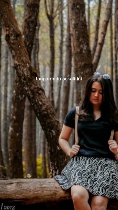 STORY WHATSAPP 2021 || BIAR SAJA - De Meise