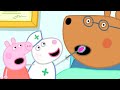 Peppa Pig English Episodes | Peppa Pig Looks after Doctor Brown Bear
