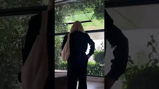 Ayşegül Kandaz Hikayesi