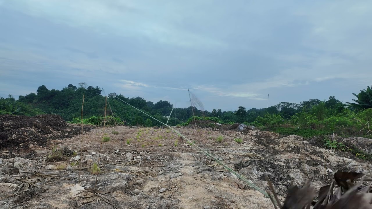 clip chim ngói ngày 23/10/2025