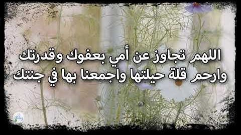 سورة العنكبوت من الآية ٦١ إلى الآية ٦٩