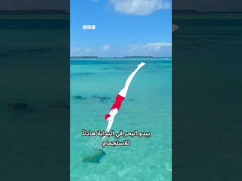 كيف يتكون التسونامي؟