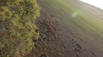 RDQ Source One V3 "Red" Test flight