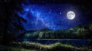 Deep Sleep Music, Night Ambient Sounds And Beautiful Piano Music, Cricket, Swamp Sounds at Night