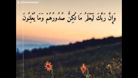 وَإِنَّ رَبَّكَ لَيَعْلَمُ مَا تُكِنُّ صُدُورُهُمْ وَمَا يُعْلِنُونَ (74) #سورة_النمل