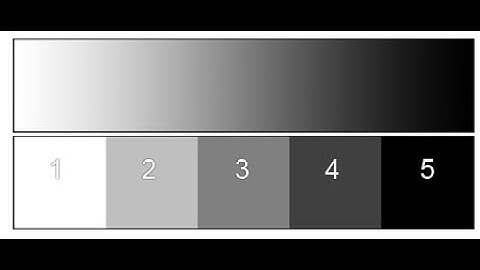 5-Step Value Scale In Graphite With A Soft Shading Technique