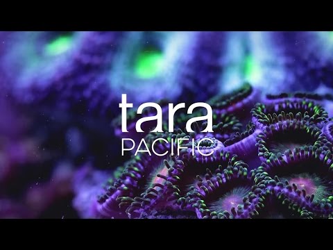 Tara Pacific 2016-2018 Expedition (Fondation Tara Océan)