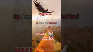 Güne Huzurla Başla Günaydın Mesajları 4K