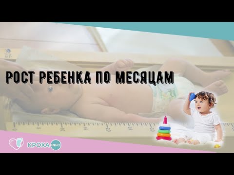 Рост ребенка по месяцам