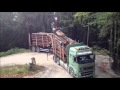 Holztransport in Niederösterreich Hängerzug