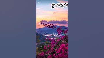 ﴿الله الذي خلقكم ثم رزقكم ﴾ من القارئ المبدع #غزة #اكسبلور