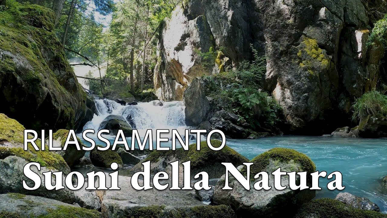 Suoni della Natura per Rilassarsi | Rumore dell'Acqua per Meditare ...