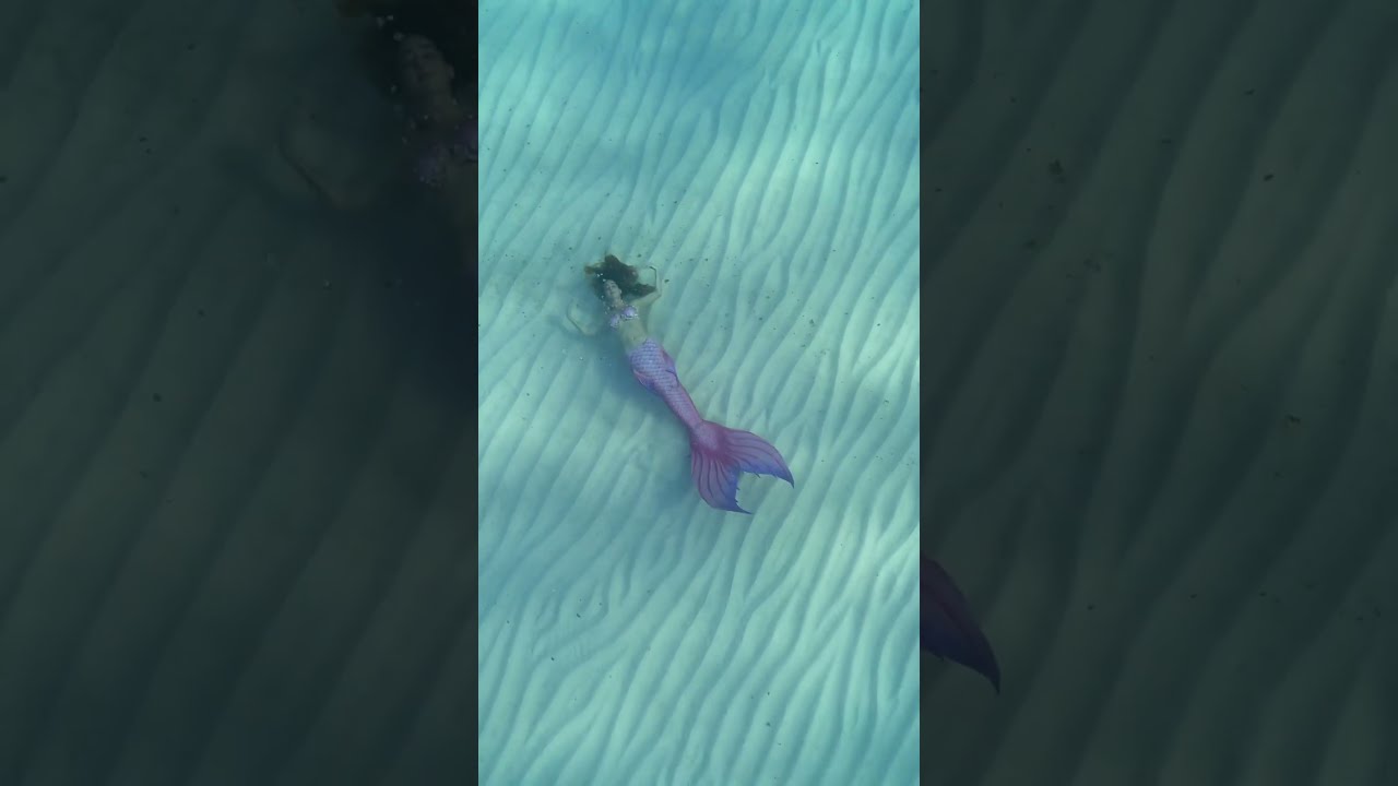 Mermaid Swims Plays On The Ocean Floor H2o Thelittlemermaid Travel Beach