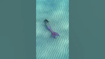 Mermaid Swims Plays On The Ocean Floor Mermaid Ocean H2o Thelittlemermaid Travel Beach 