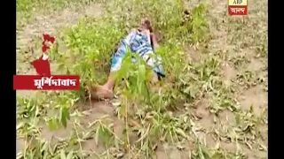 At Murshidabad's Bhagobangola son in law killed father in law screenshot 5
