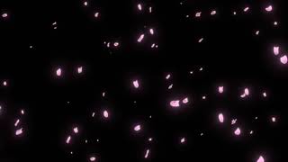 #Футаж розовые лепестки падают ◄4K•HD► #Footage pink petals falling