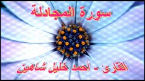 أحمد خليل شاهين - سورة المجادلة