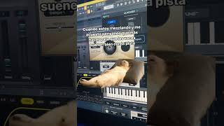 cuando estoy meditando tunecore flstudiomobile beat507 chiriqui music dj