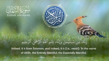 اروع تلاوة سورة النمل//قصة هدهد مع نبي الله سليمان عليه السلام