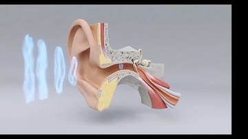 DSP with FiR filters