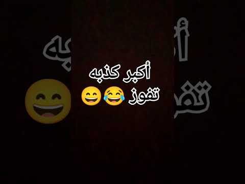 أكبر كذبه تفوز