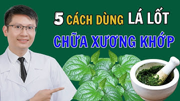 Bác Sĩ Giải Thích: Thực Hư Lá Lốt Chữa Được Đau Khớp, 5 Nhóm Người Tuyệt Đối Không Được Dùng