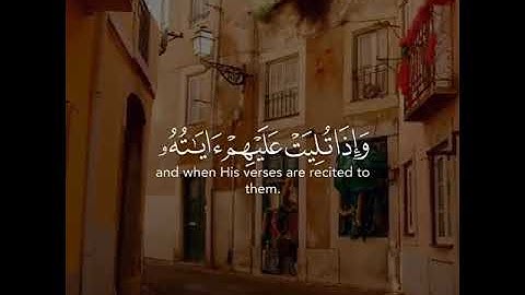 القارئ احمد حمادي سورة (الأنفال)